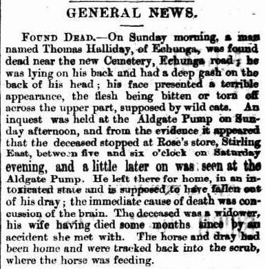 Article regarding Thomas' death, taken from The Mount Barker Courier and Onkaparinga and Gumeracha Advertiser, Friday 6 May 1881