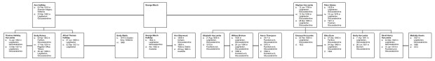 Descendant Chart for Ann Halliday