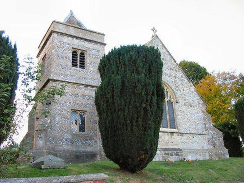 52 Ancestors: Newsworthy