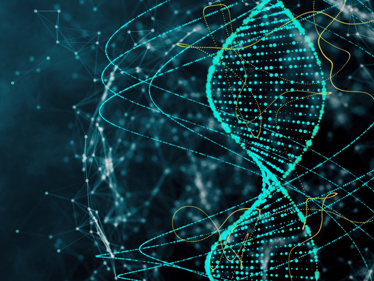 Thomas Halliday Hurcombe – And The Father Isn’t&nbsp;…